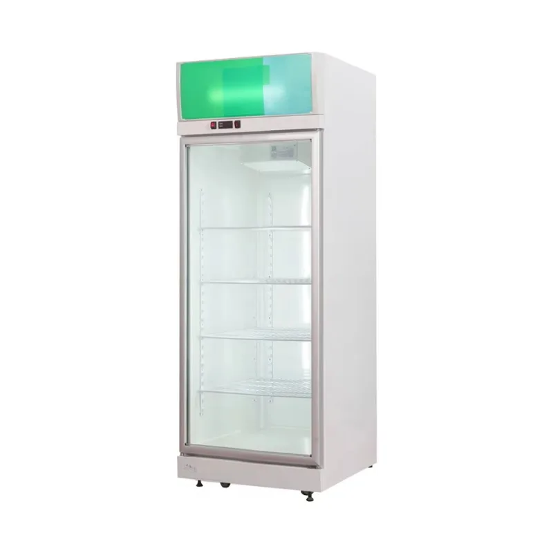 Convenience store glass freezer 220V vertical freezer, a glass door refrigerator