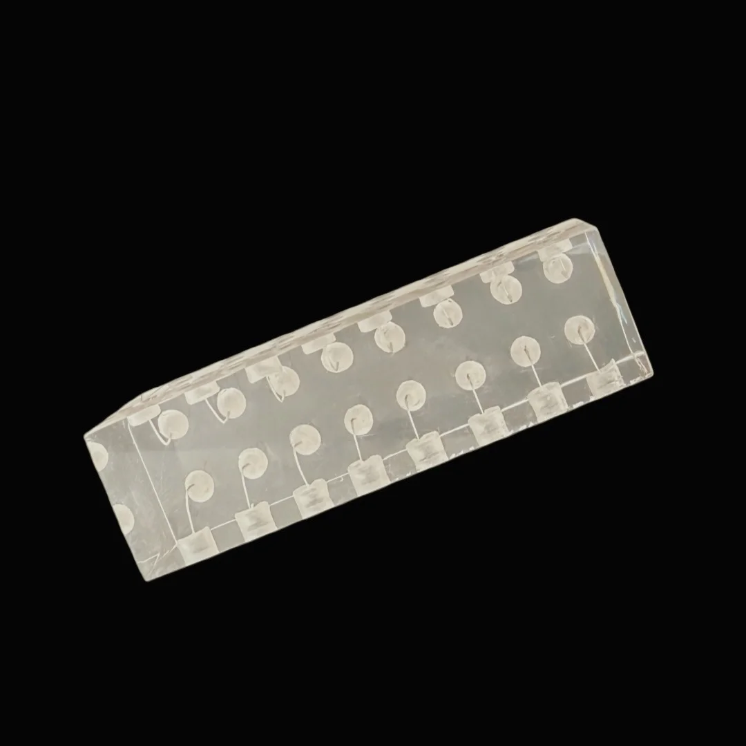 Thumbnail 4 - #69 Dental Teaching Models List of Top Picks