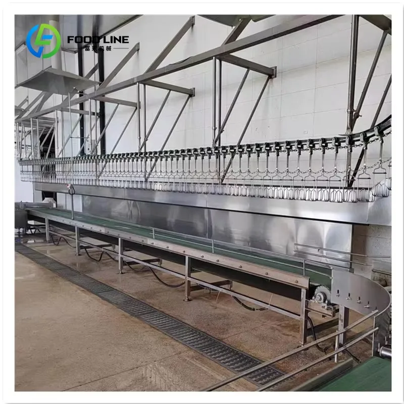Customized Poultry Slaughter Machine of Chicken Slaughtering Line Broiler Farm Slaughter Processing Equipment