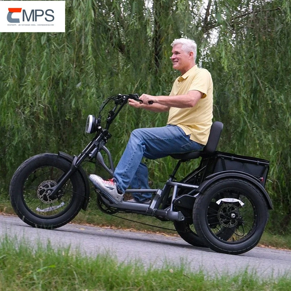 High Power Long Range Dual Motor Dual Battery 3 Wheel E Cargo Trike Adults Sand and Snow Fat Tire Electric Delivery Tricycle