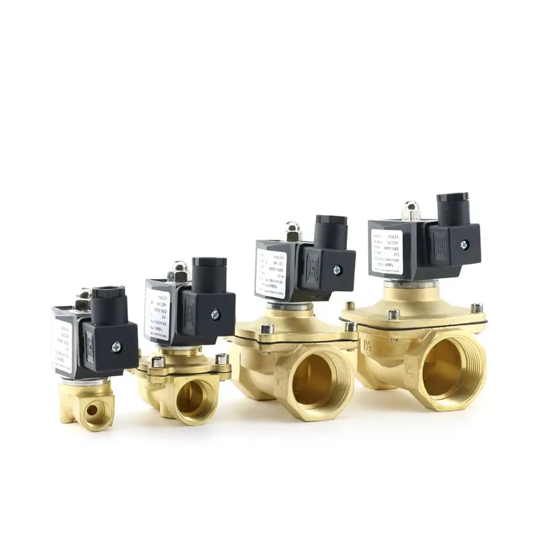 Normally Closed Brass Solenoid Valve With Waterproof Coil AC220V DC12V DC24V For Air Oil DN10/15/20/25/32/40 Water Valve1/2