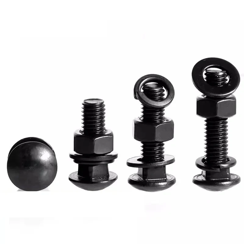 

M3 M4 M5 M6 M8 M10 M12 Black 304 Stainless Steel Carriage Screws Assortment With Nuts Flat Pad And Spring Washers