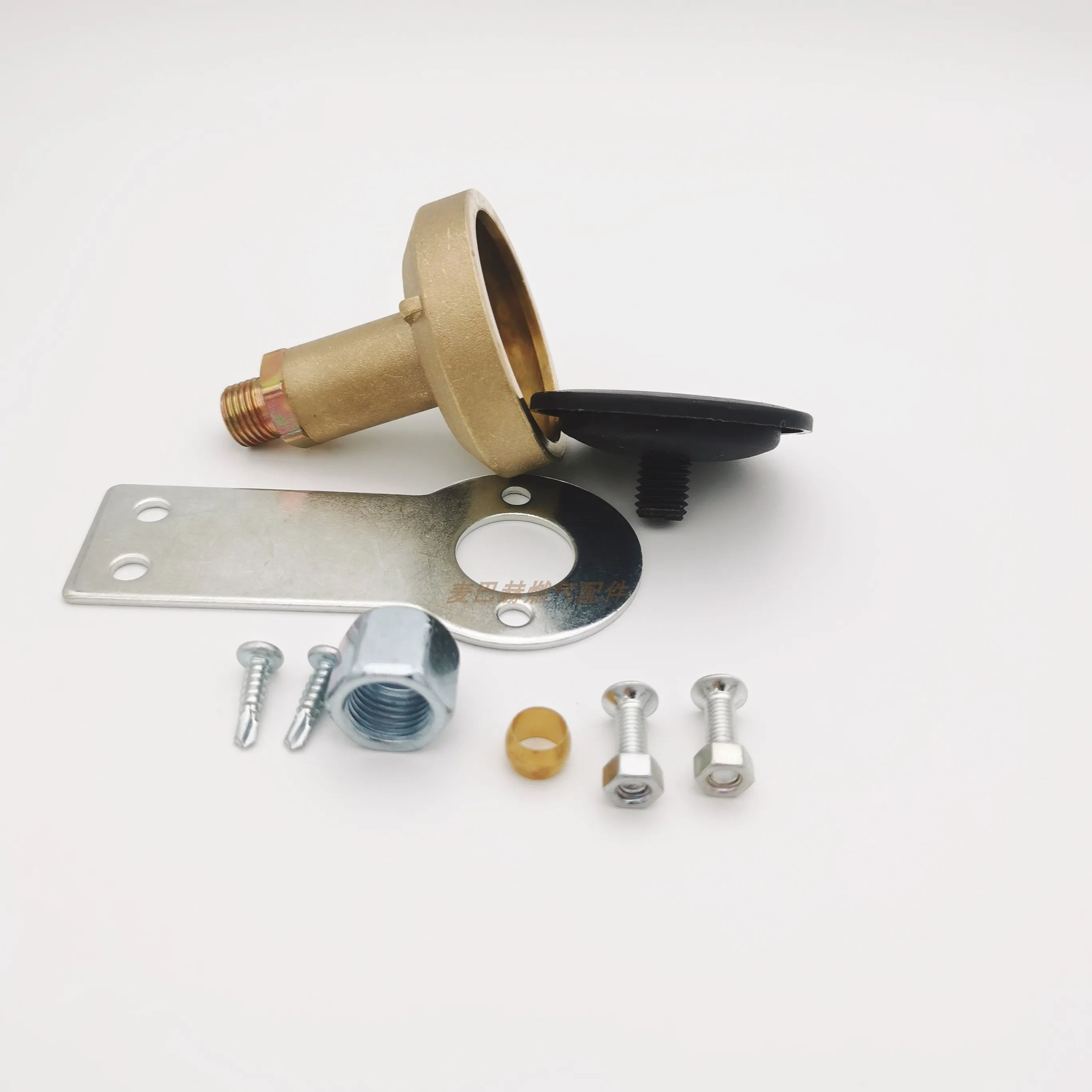 Liquefied Gas Filling Port, Car Modification Dual Fuel for LPG Filling Port, Filling Valve for Lpg Gas Accessories