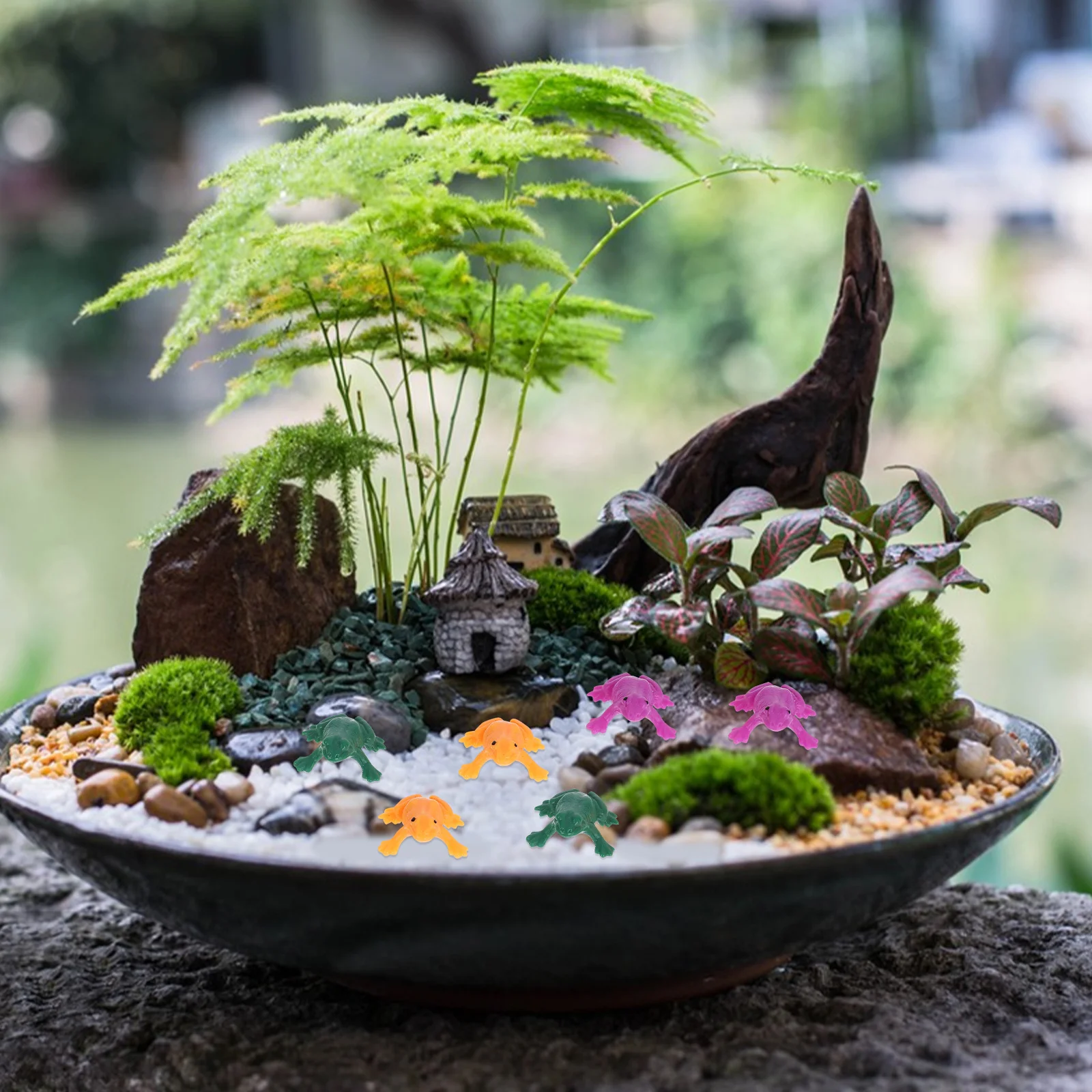 

24Pcs Artificial Frogs Lifelike Decor Miniature Plastic Home Office Cafe Fairy Garden Ornaments Party Crafts Simulated Frog