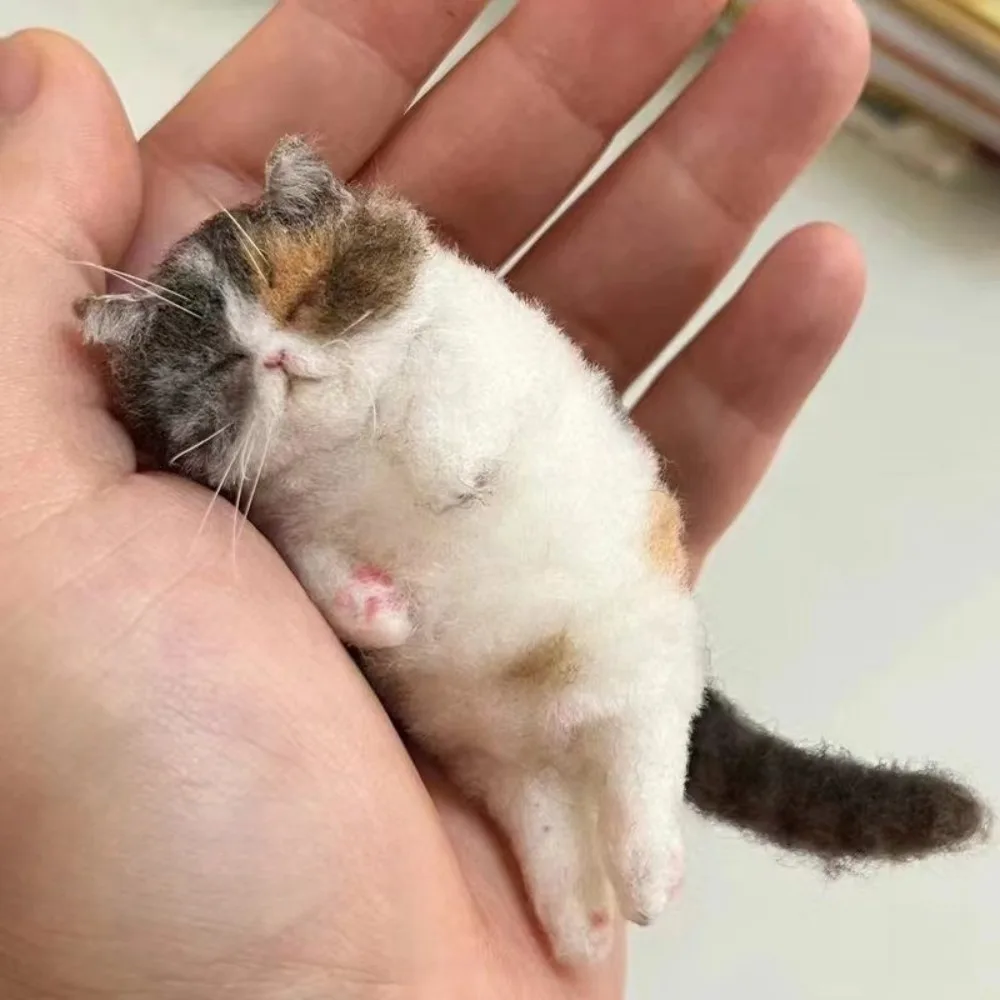 

Non-Finished Cat Wool Needle Felting Kit Handmade Beginner Friendly Wool Felt Cat Material Bag DIY Plush