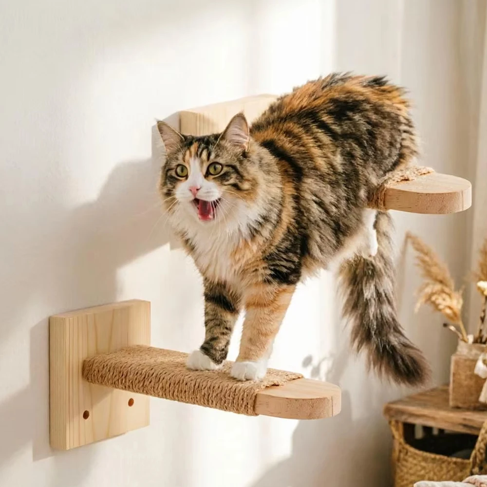 

Cat Wall Climbing Shelves ScratcherFurniture Wall Mounted Bed Cat Wall Shelves & Hammock for Indoor Cats Home Decor Accessories