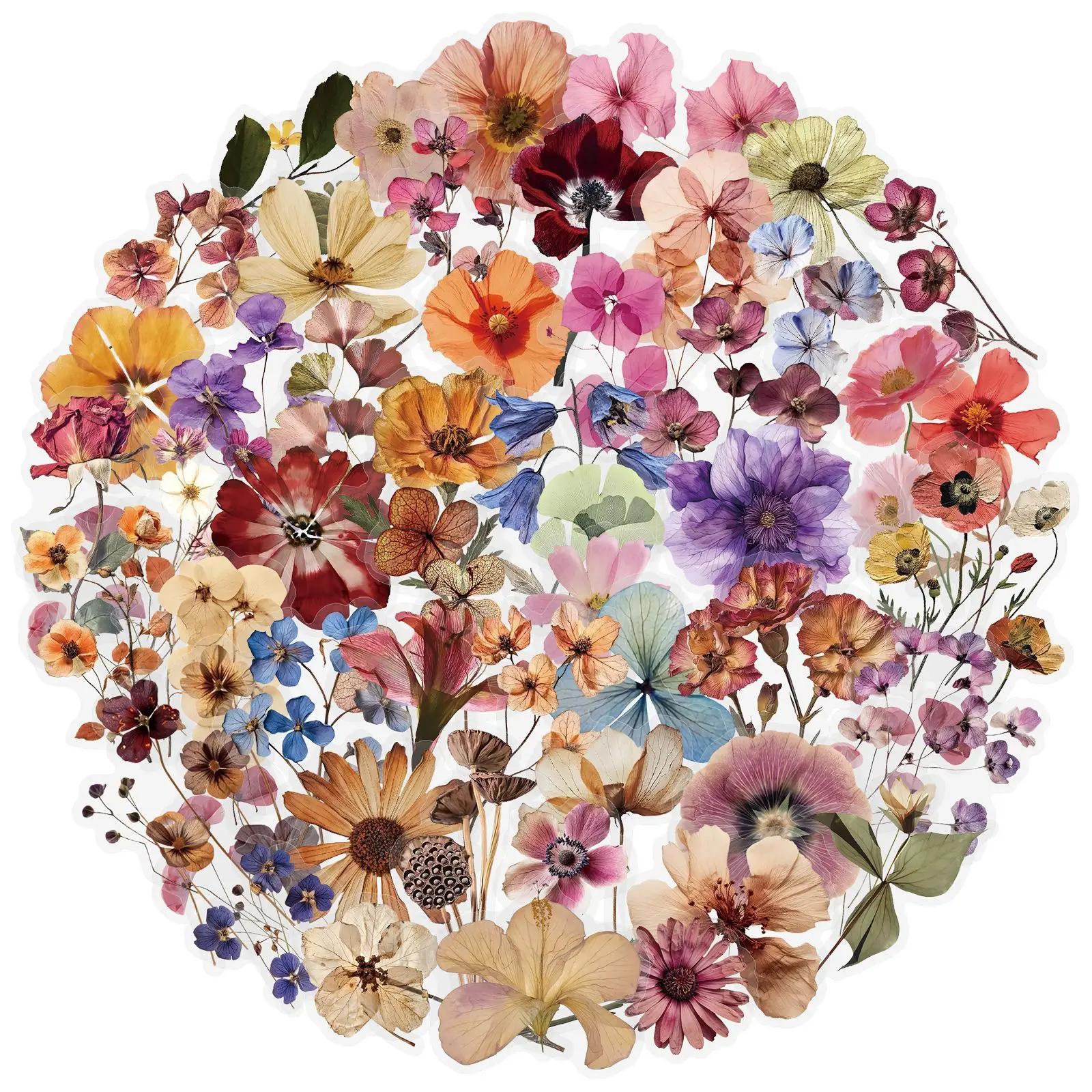 50 Stück Gemischte Transparente Retro Trockenblumen-Aufkleber Ästhetisch für DIY-Dekor Scrapbooking Handy Laptop Notizbuch Gitarre