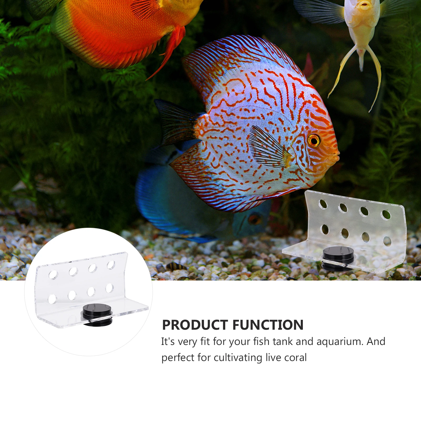 

Magnetic Coral Rack Aquarium Fish Tank Acrylic Coral Holder Support Cultivation Rack Decorative Stand