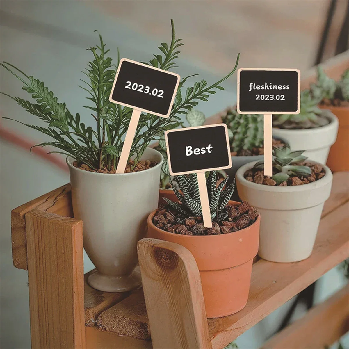 10pcs- Creative Garden Markers For Succulents & Flowers - Blackboard Plant Labels With Stakes