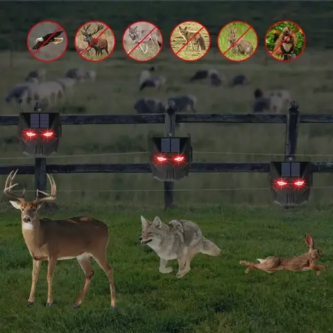 6 best sales solhund - №6