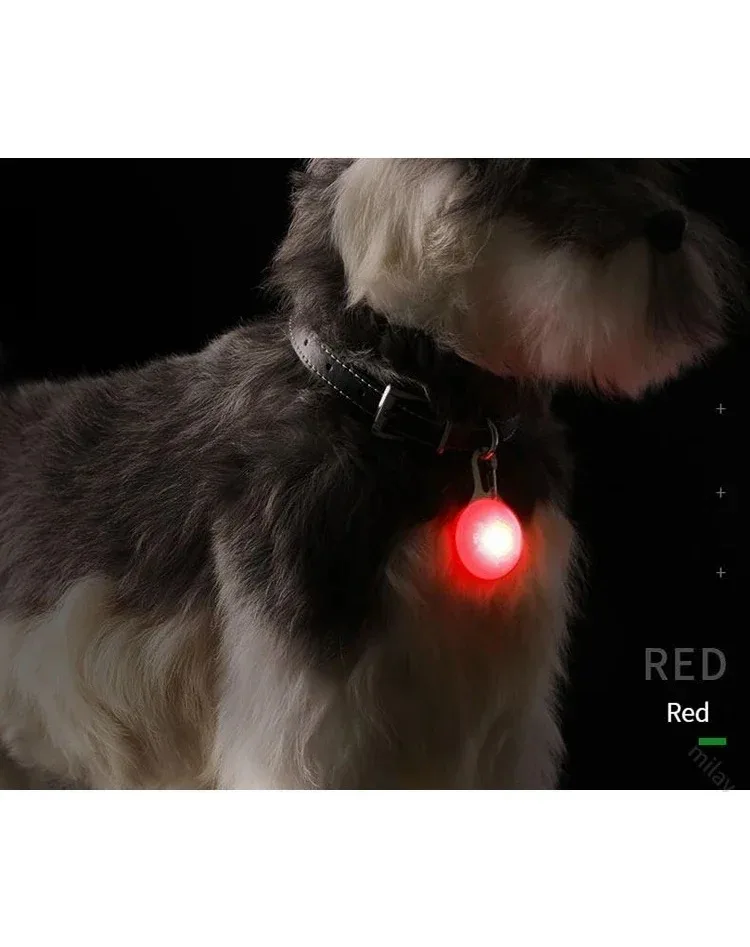 LED Luminous Dog Cat Collar Glowing Pendant Flash Lights Pet Leads Accessories Night Walking Pet Collar Supplies Accessorie