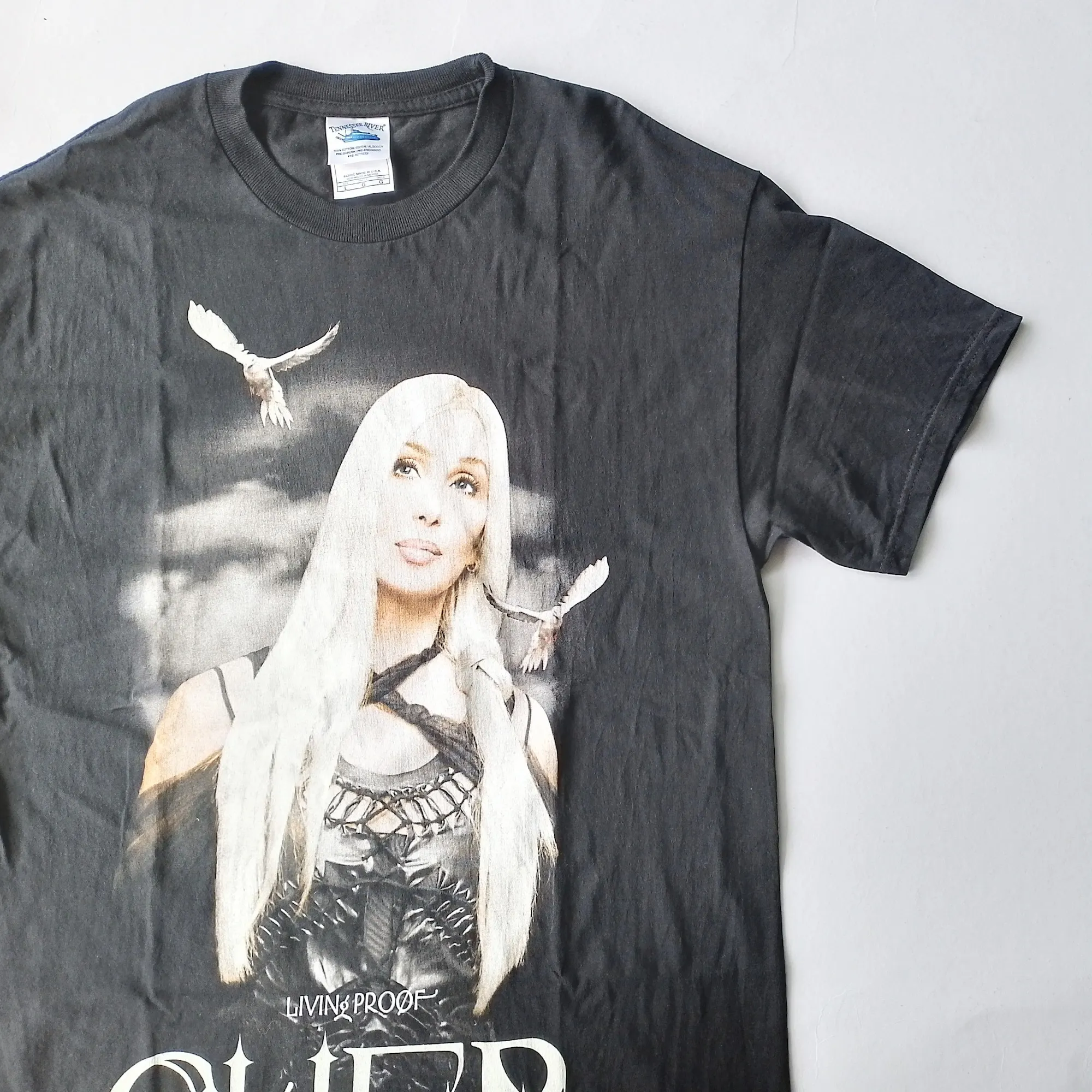 Vintage 2003 Cher Living Proof Farewell Tour T Shirt size L (W 21 x L 30)