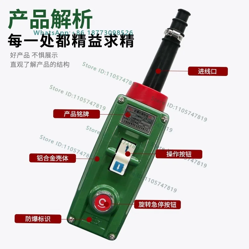 Electric hoist control handle BAK63-3/5/7/9 button switch CT4