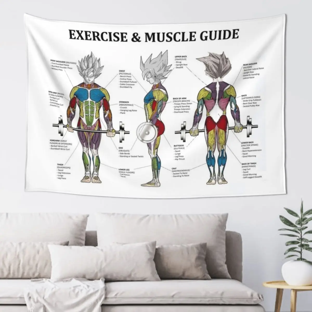 

Anatomy Chart - Muscle Diagram - Anime Workout Inspirational Tapestry Anime Decor Decoration Aesthetic Tapestry