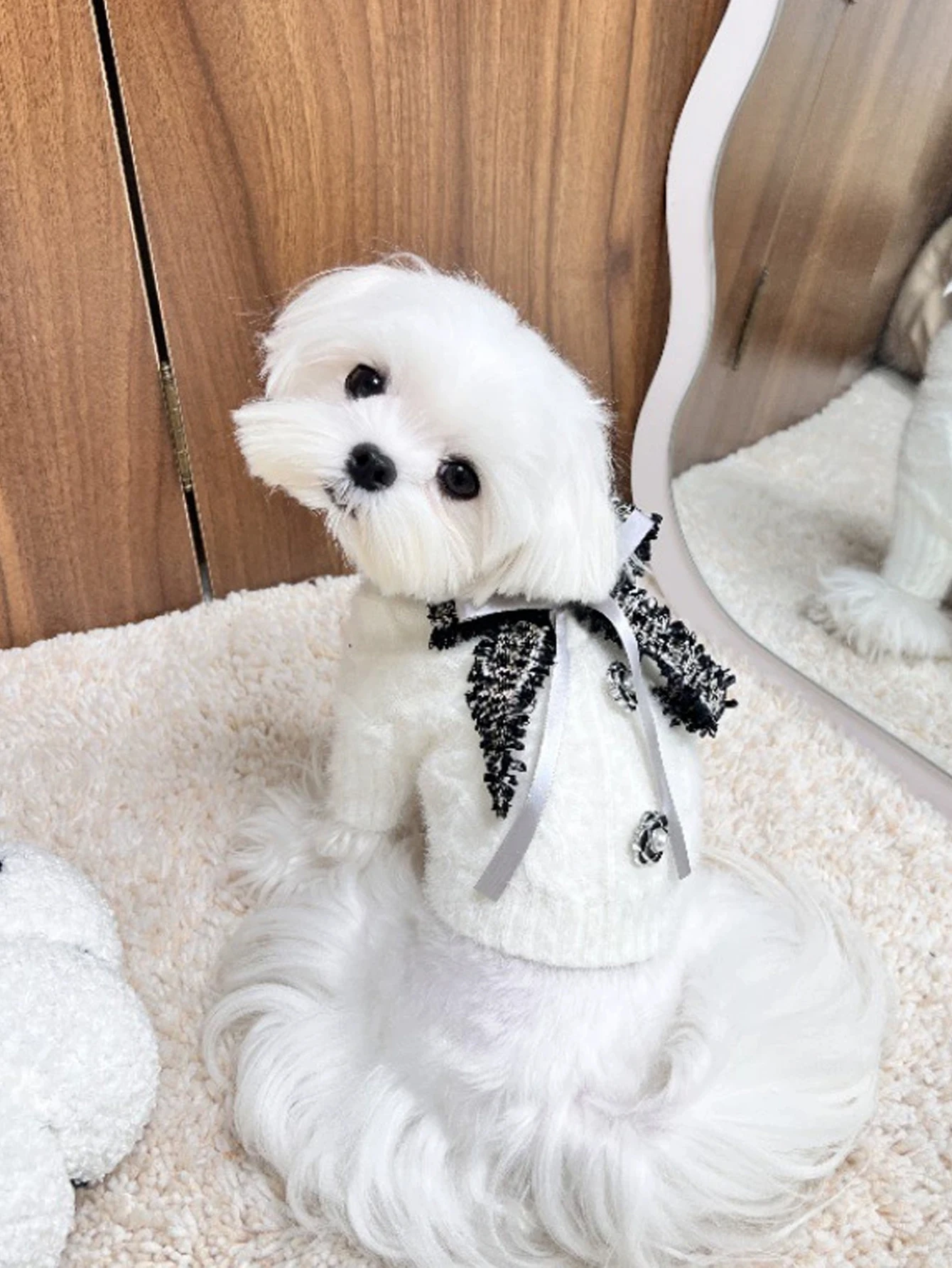 Thumbnail 3 - #11 Compare Dog Jumpers Before You Buy