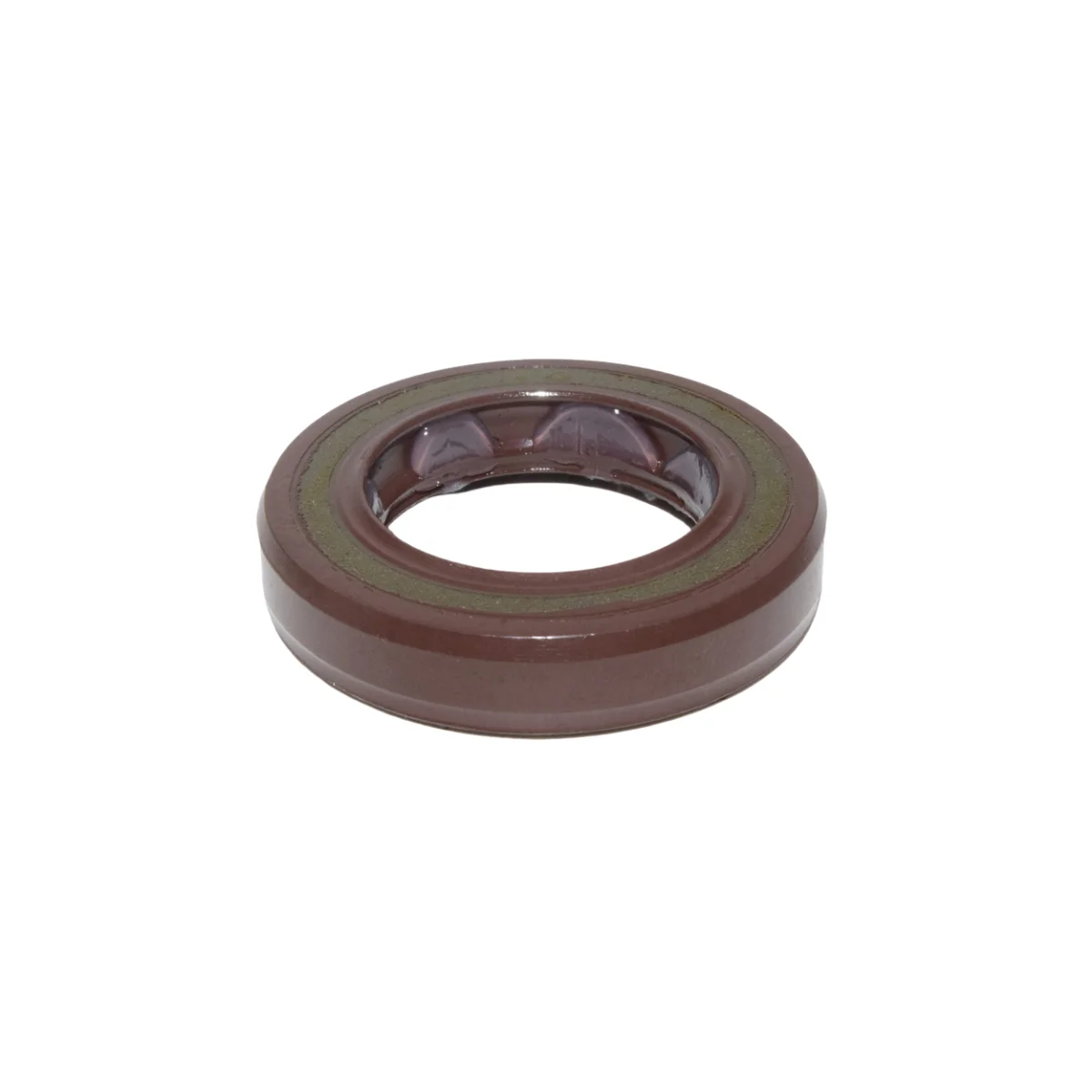 

High Quality FKM Pressure Type Oil Seal BAFSL1SF 19*30*6 mm - Double Lip Oil Seal with Spring ﻿