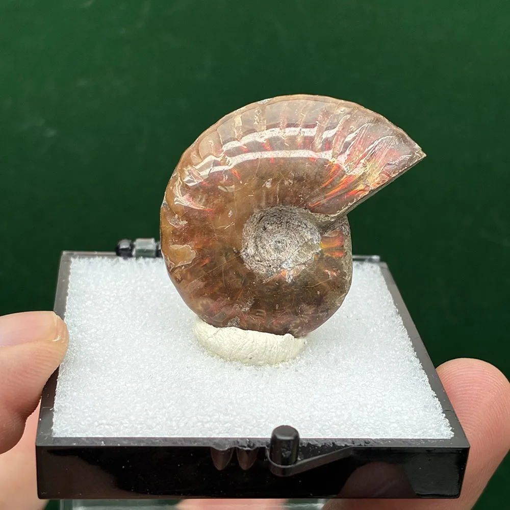 �y�Z�[�����zA2-1C �}�_�K�X�J�� �A�����C�g �X�N�����[���Ό`���z�΃R���N�V���� �J���[�X�g�[���ƃN���X�^�� ����W�{ �{�b�N�X�T�C�Y: 52*52*52 mm