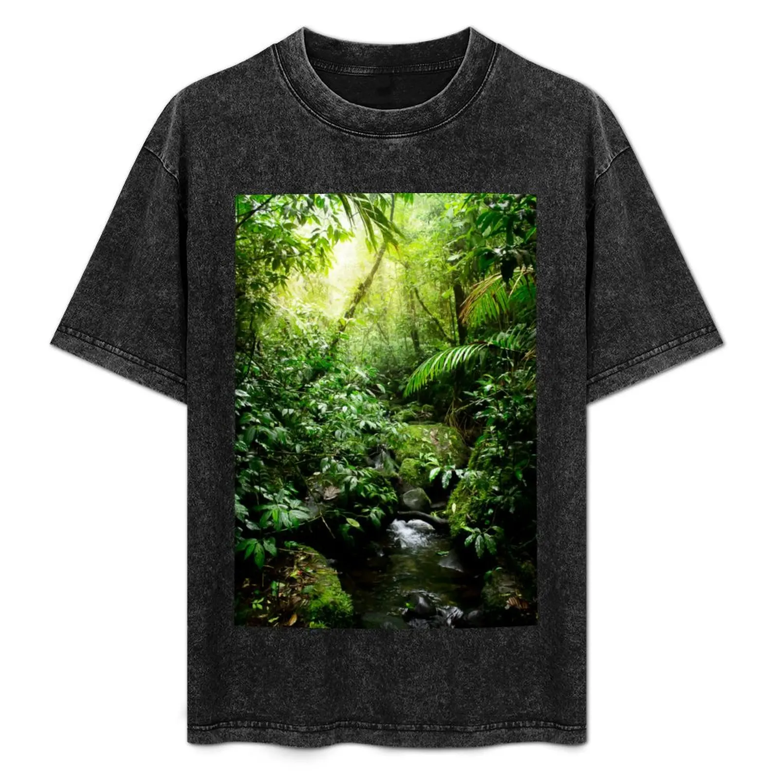 

Rainforest in Warm Glow T-Shirt Basic Plain Tee for Spring and Summer