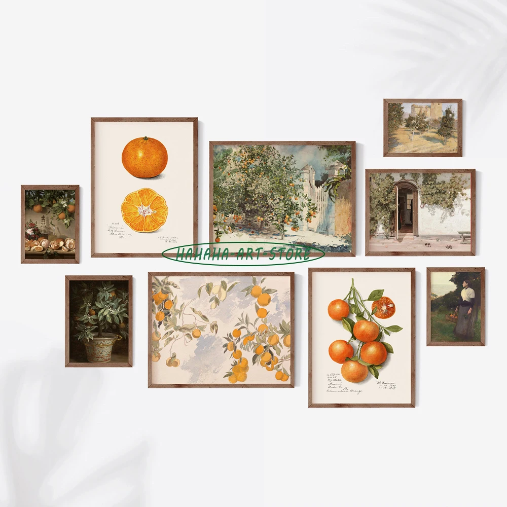 Galería de verano Vintage, decoración de pared, granja, arte de pared Retro Neutral, decoración de cocina española, impresión en lienzo, estampado de cítricos de verano naranja
