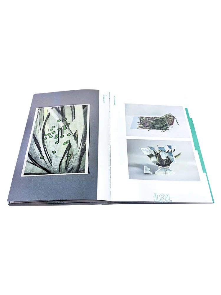 Book-Winshare Artistic Image Cognition