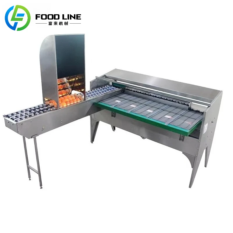 

Automatic Egg Grading Sorting Equipment Large Capacity Chicken Egg Sorter Machine by Weight Grader for Sale