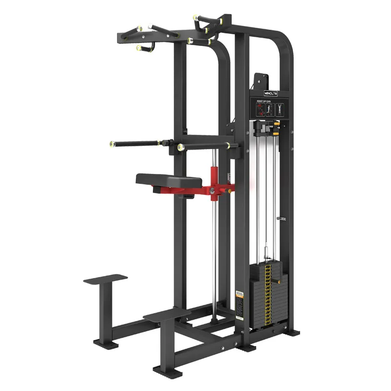 

Strength Training Equipment Fitness Bodybuilder Dip/Chin Assist with Weight Stacking