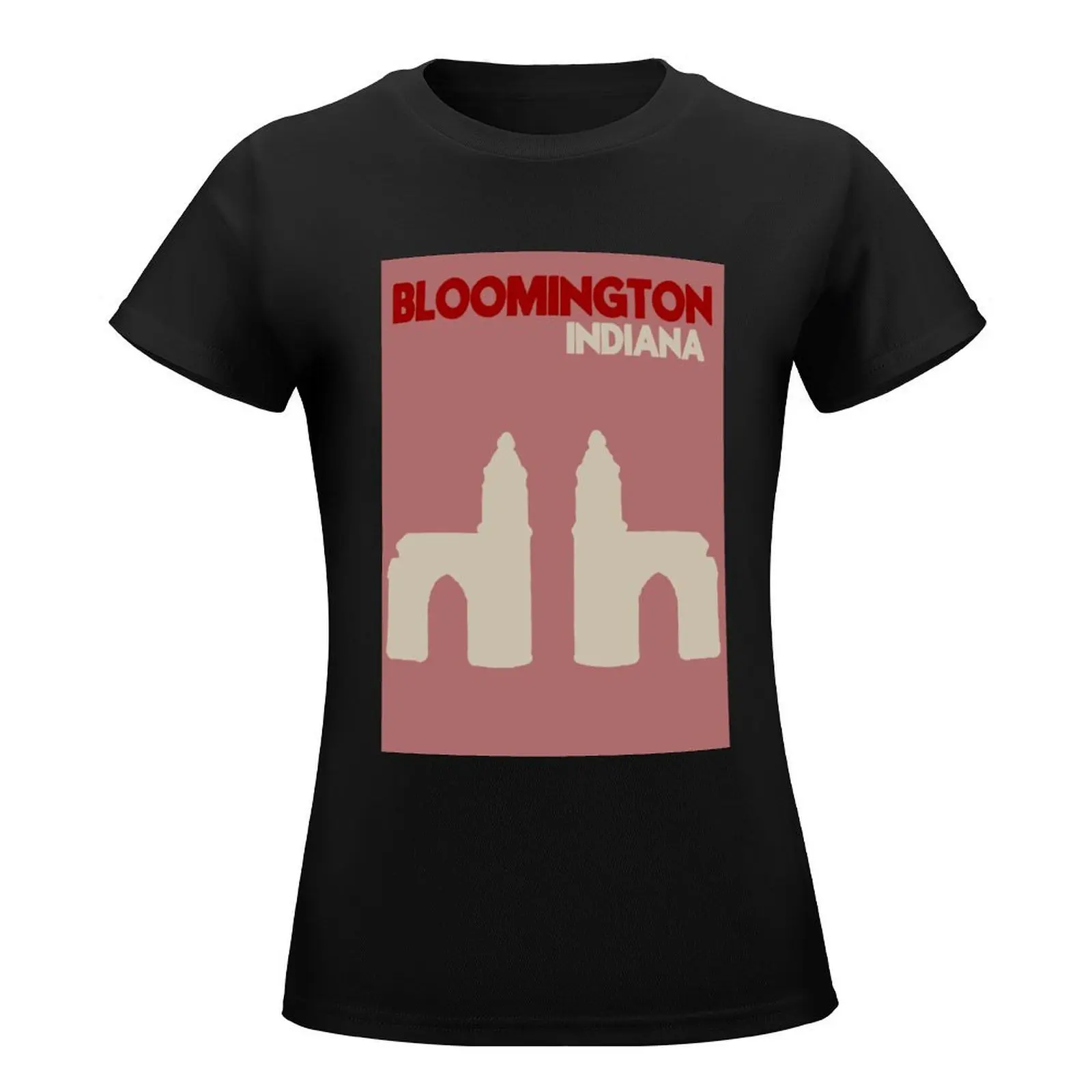 BLOOMINGTON INDIANA Wall Print Coffee Table Book Inspired T-Shirt anime vintage clothes cotton t shirts Women