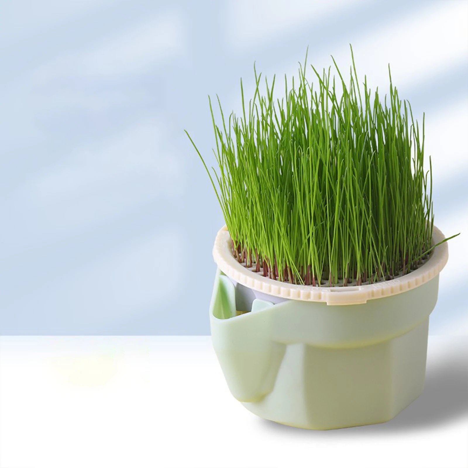 Hierarchical Cat Grass Planting Cup Hydroponic Soilless Cultivation Reusable Catnip Growing Container Seedling Germination Tray