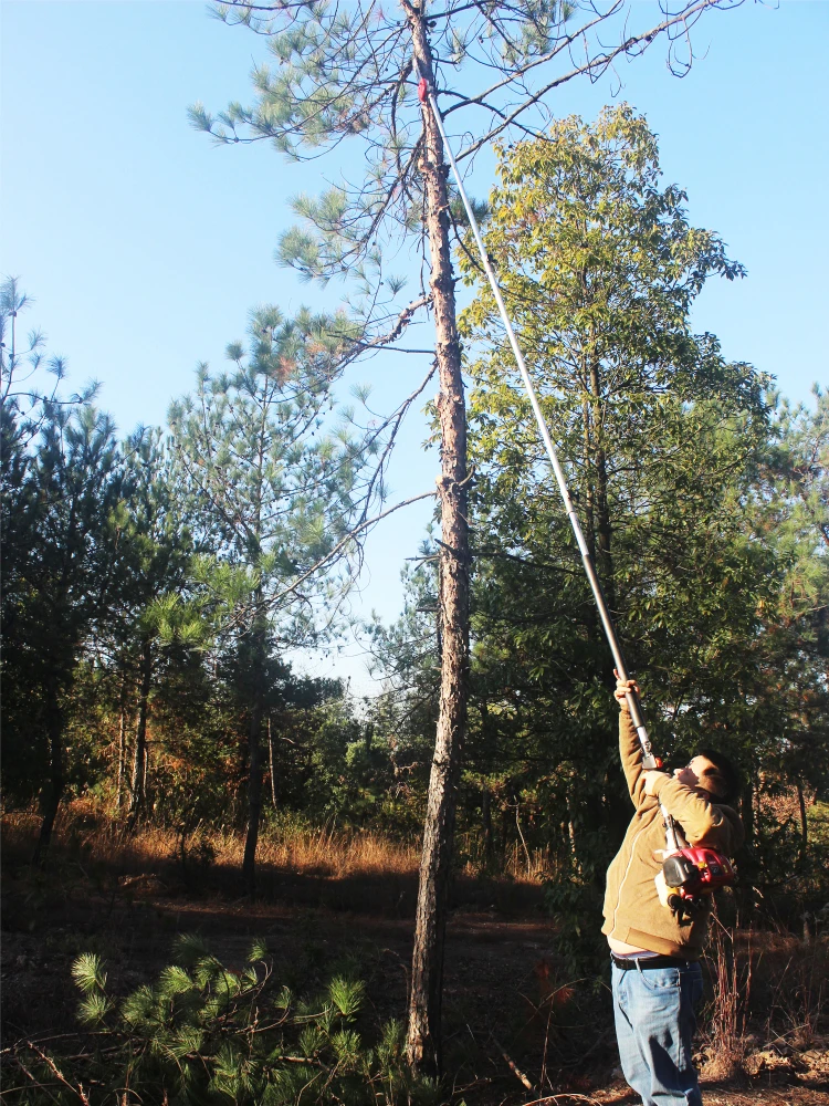 High-altitude chain saw, long pole branch gasoline high bar pole pruning