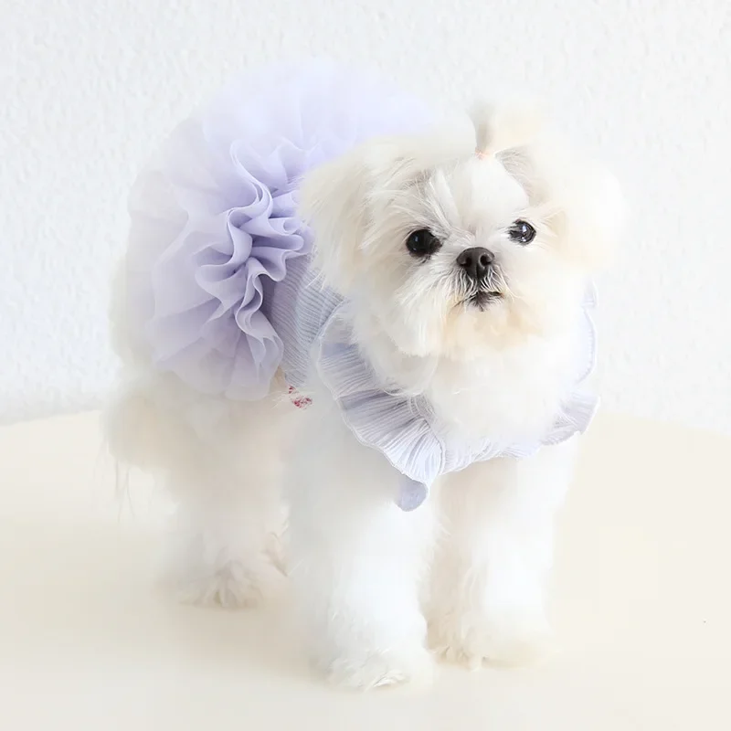 2025 Spring Summer Fairy Wing Sleeves Puffy Dress for Dogs Cats Fashionable Pet Dog Coat Clothing Dogs Clothes Chihuahua Clothes
