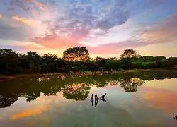 

1295 144001-1295 Flange Sleeve 6*5.2mm for 1/14 Wltoys 144001 RC Car Spare Parts