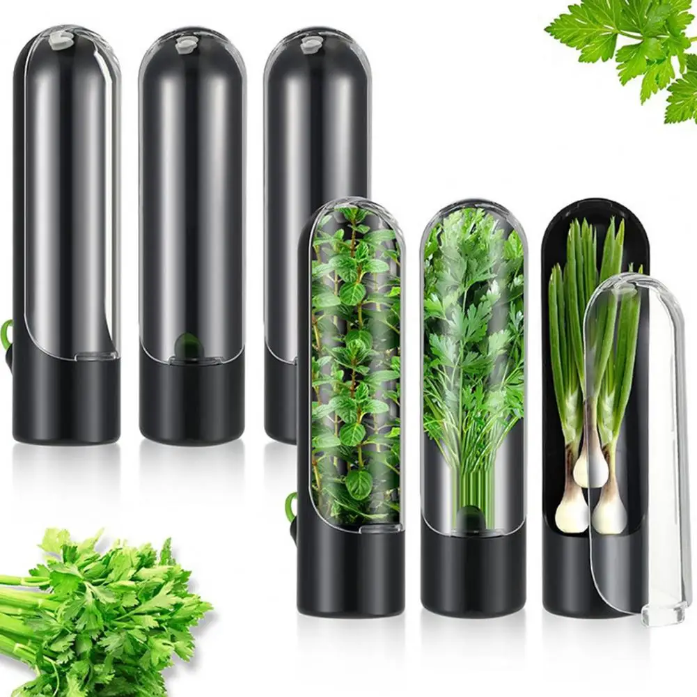 Cilantro Storage Box for Refrigerator Refrigerator Herb Keeper with Adjustable Vents for Cilantro Parsley for Asparagus