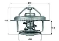 

TX1679 thermostat ZETA 50.10 for