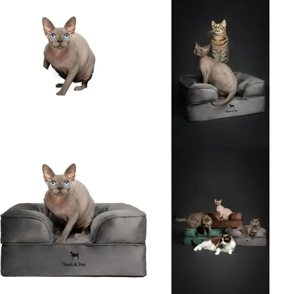 

Orthopedic Gel-Infused Memory Foam Dog and Cat Bed, 20x15x8 Inches, Waterproof, Machine Washable Velvet Cover