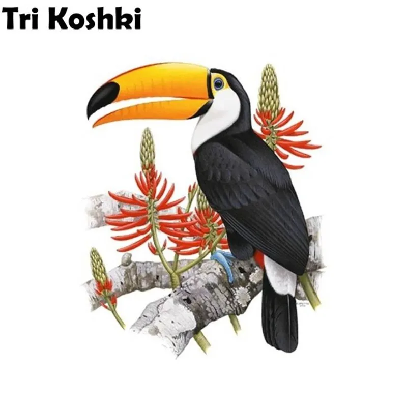 Tri koshki RC025 Tropical Animals Toucan Bird Wall Sticker Waterproof PVC Decoration Door Living Room Kids Room