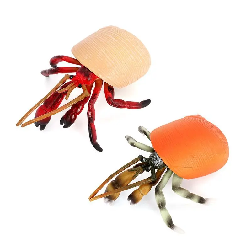 Simulation Of Marine Solid Animal Creatures Hermit Crab Hermit Shrimp Plastic Children's Toys Early Education Model Ornaments