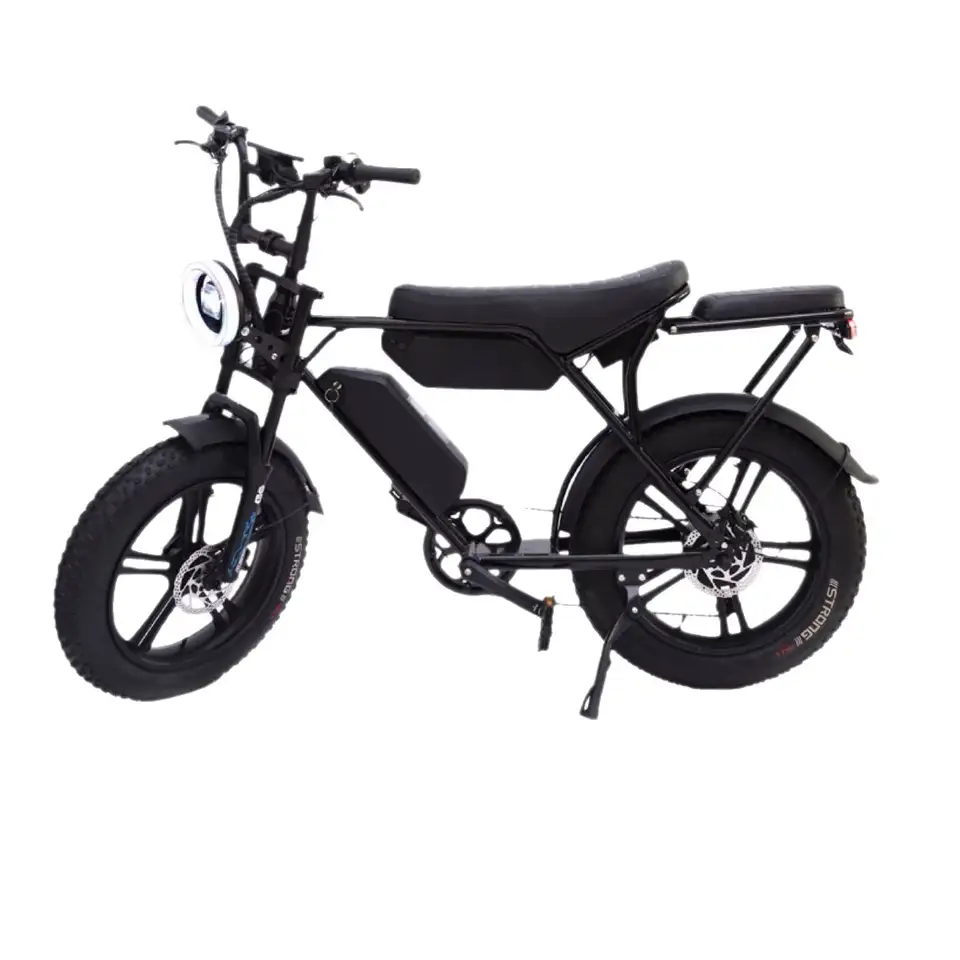 Electric Assisted Bike H20pro 1000W Motor 48V 30AH Mountain E-Bike 20 Inch Tire Commuting All Terrain Off-Road Electric Bicycle image 9