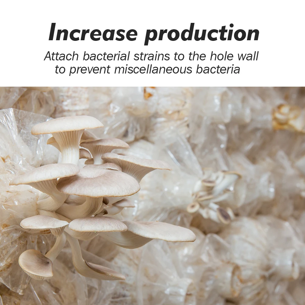 البلاستيك محدب حافة الفطر تلقيح قضيب للركيزة ، ارتفاع درجة الحرارة التعقيم ، حديقة متزايدة ، زراعة الفطريات الصالحة للأكل ، 13-25 سنتيمتر