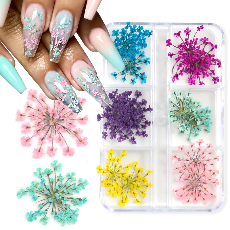 12/18Pcs/box 3D Dried Flowers Nail Art Decorations Dry Floral Bloom Stickers DIY Manicure Charms Designs For Nails Accessories