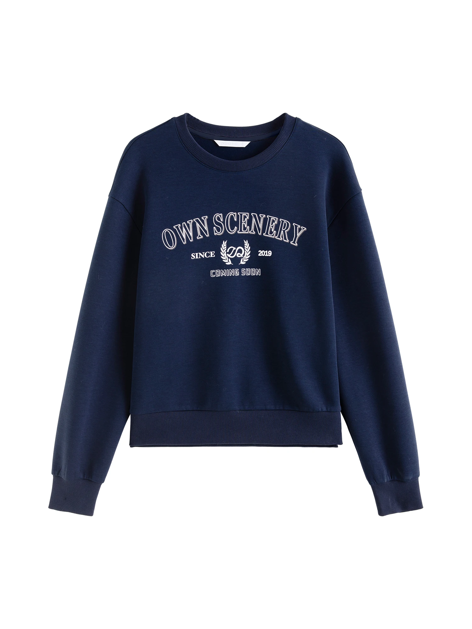 ZIQIAO Women Sweatshirts Letter Print Retro Casual Female Grey Pullover Sweatshirt Drop Sleeve Navy Blue Winter Tops 24ZQ94295