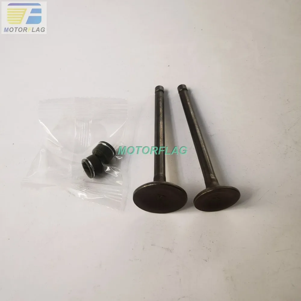 

Intake Valve & Exhaust Valve for CBT125 CBT150 CM150 Rebel CA250 Regal Raptor DD250 Jinlun Texan 250 FYM FY250