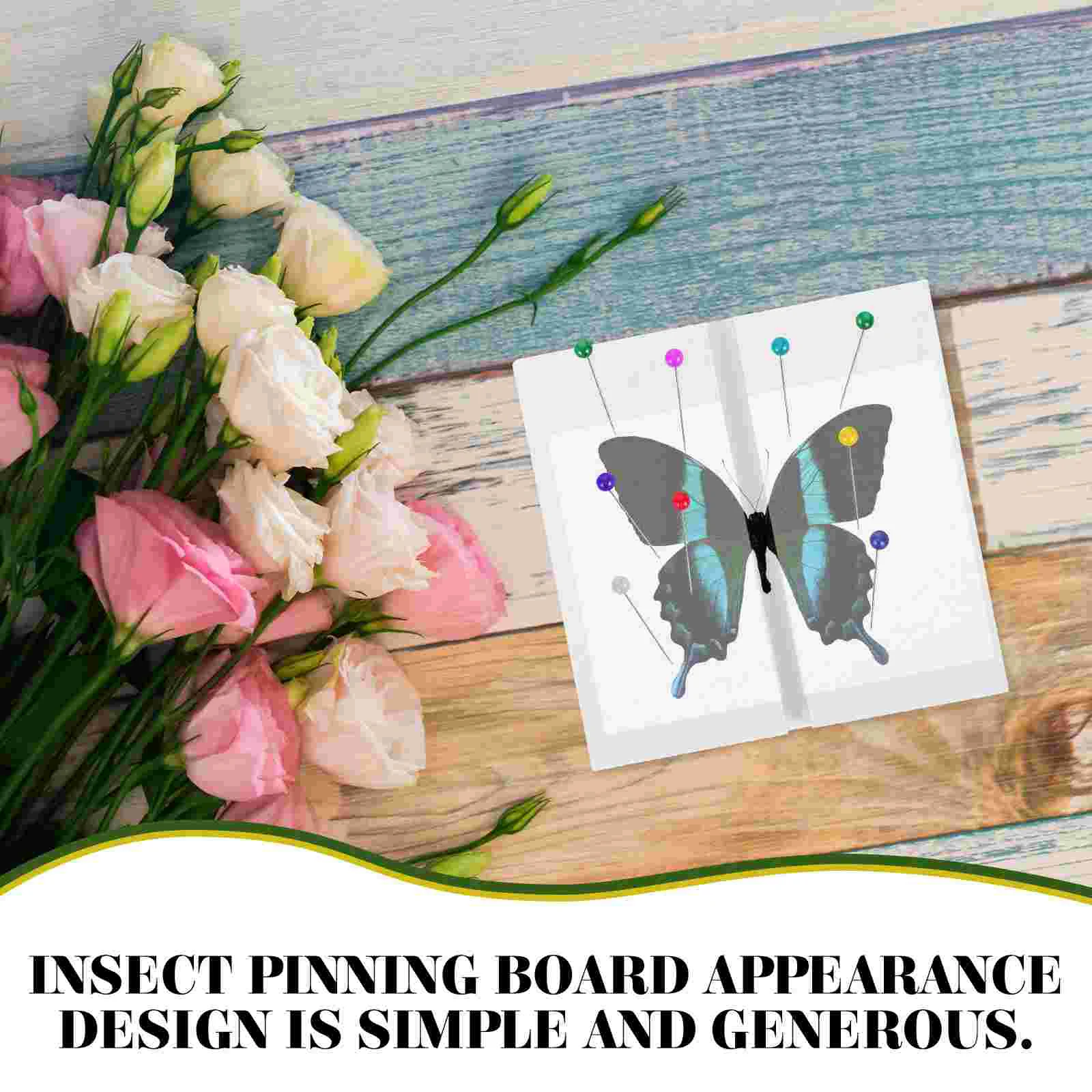 Butterfly Specimen Taxidermy Kit Mounting Spreading Board Pinning Insect Display Case Display Case Insect Display Tool