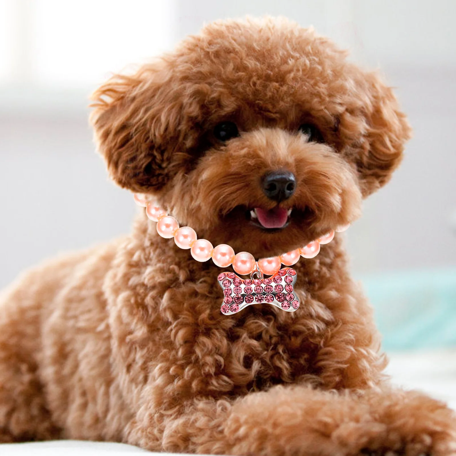 

Pearl Dog Collar Cat Supply Cute Alloy Necklace Pet Pearls Decorative Small Medium Dog Breathing Design Daily Wear