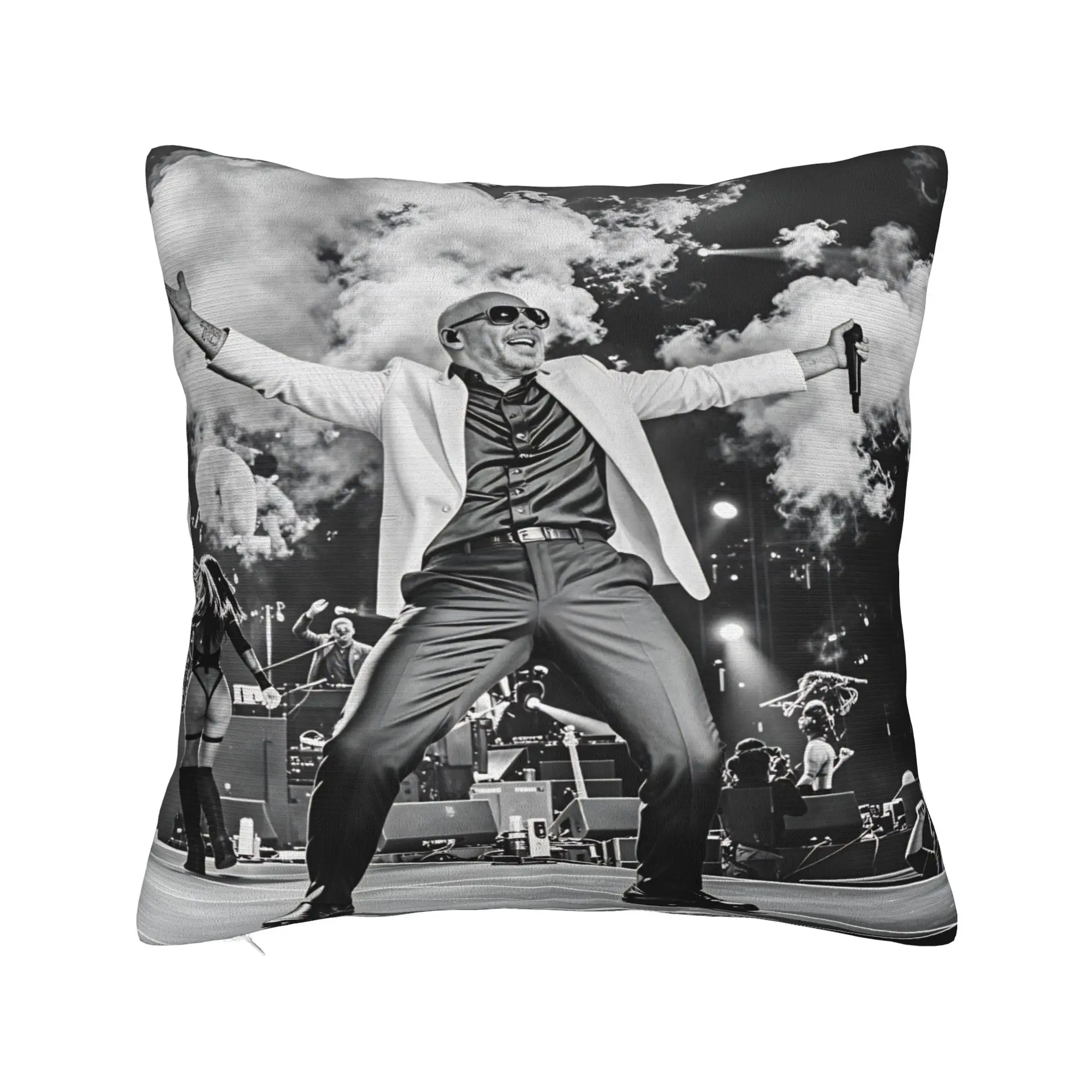 Pitbull Mr Worldwide Tour Pillow Case  Comfy Pillow Cover Retro Trendy Pillowcases For Chair Sofa Home Decor