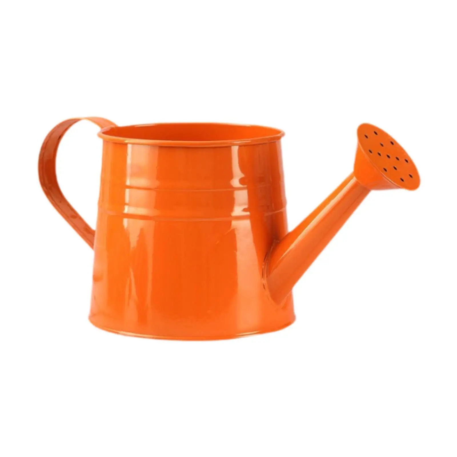 Watering Can for Indoor Outdoor Plants Water Flower Versatile Sprinkling Kettle for Planting Houseplants Farm Bonsai Vegetable