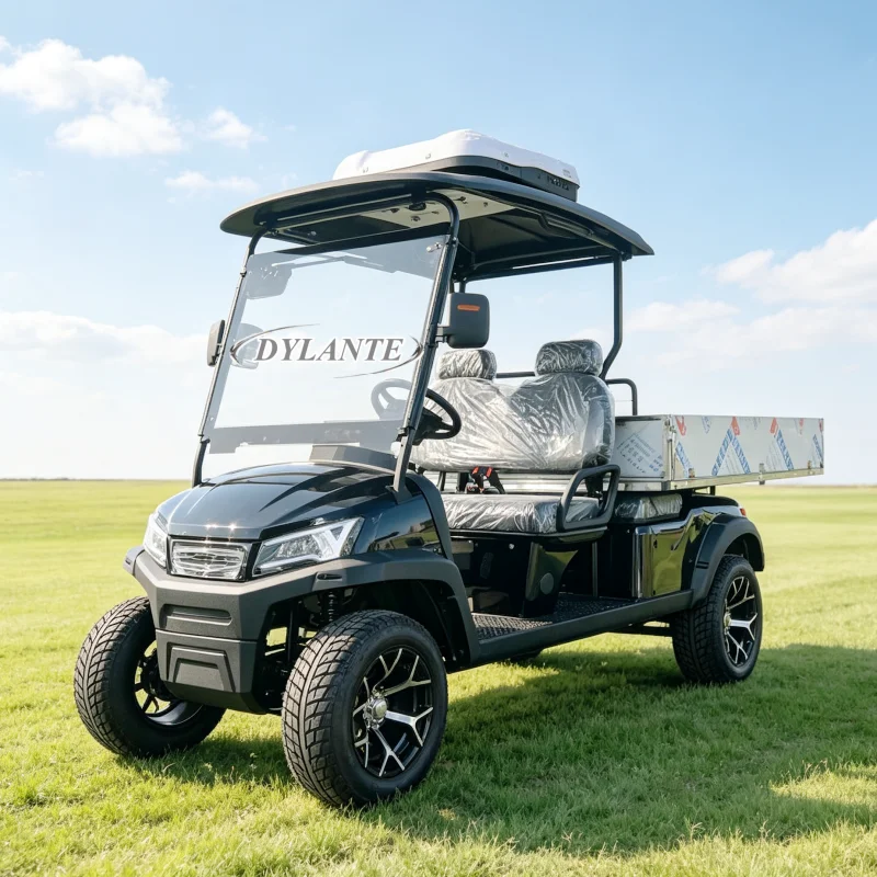 Heavy Load 2 Seats Off Road Electric Golf Cart CE Certified 72V Lithium Golf Buggy with Cargo Container LED Front Lights