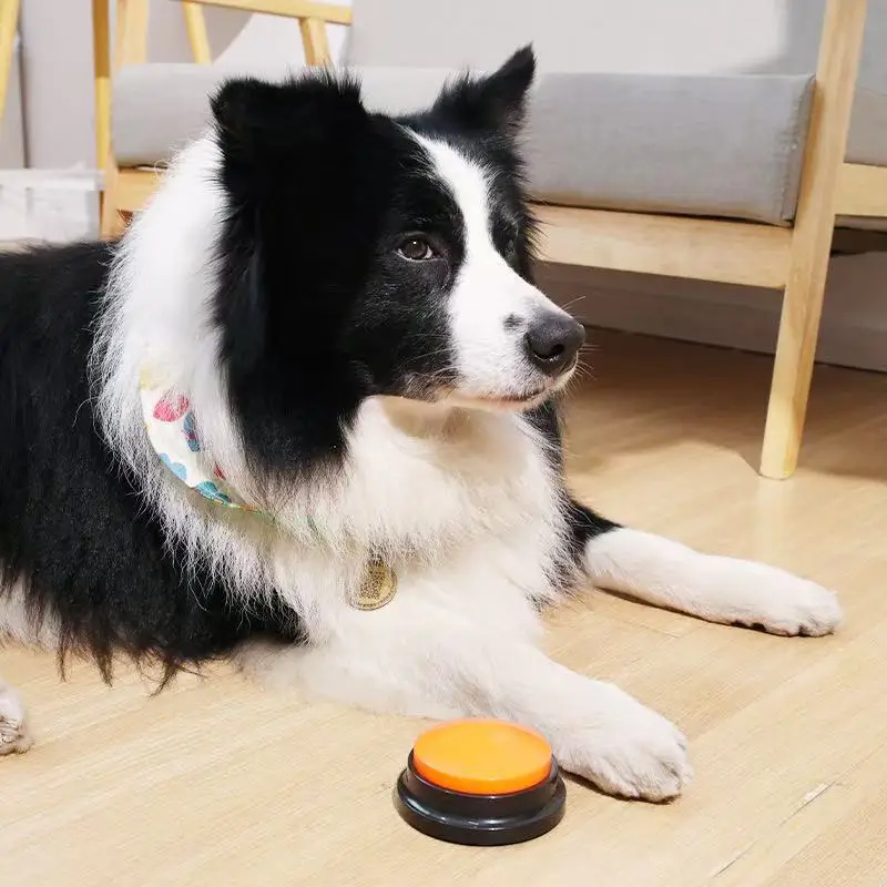 Thumbnail 2 - #4 Pet Training Clicker List of Top Picks