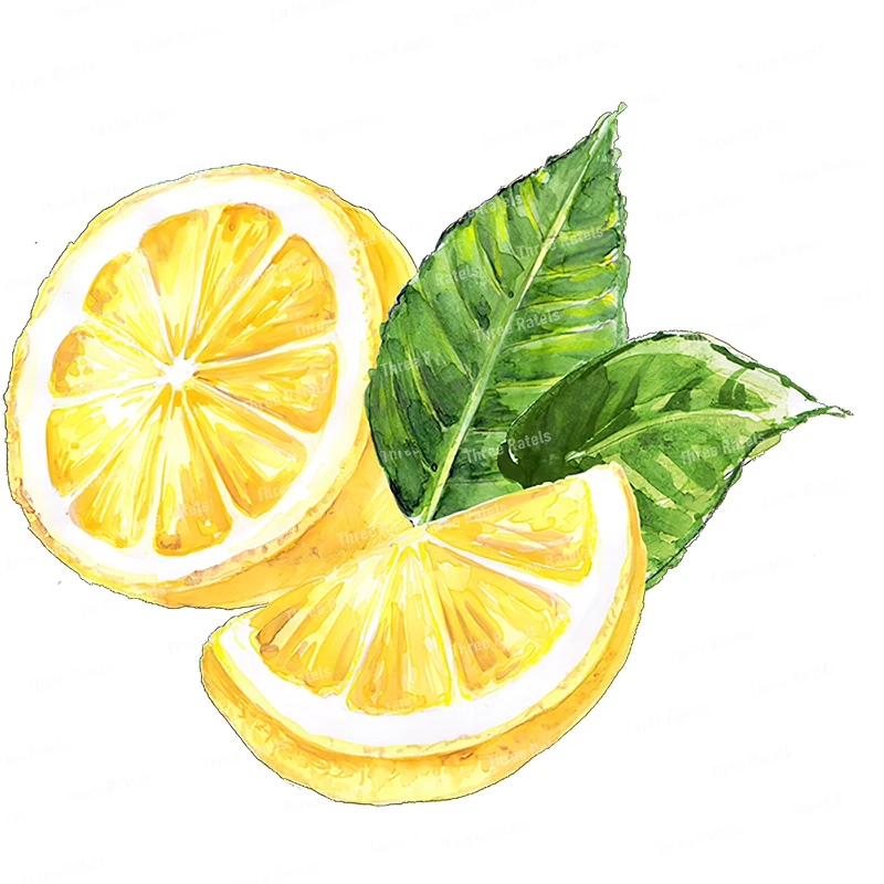 Three Ratels CO29 orange lemon Fruit PVC Wall Sticker for home DecorationToilet Decals Waterproof self pasting