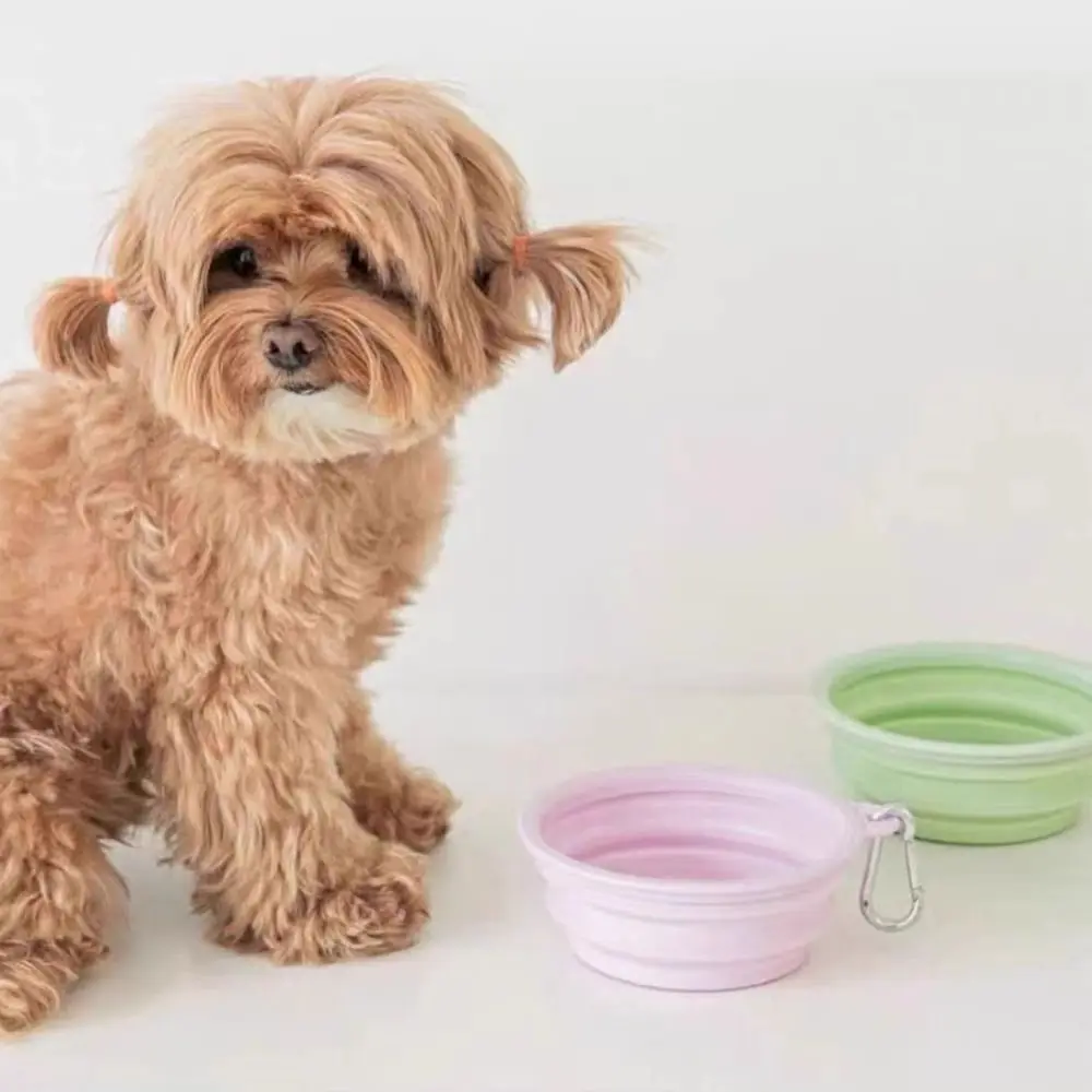 #8 Collapsible Puppy Bowls Discount Picks