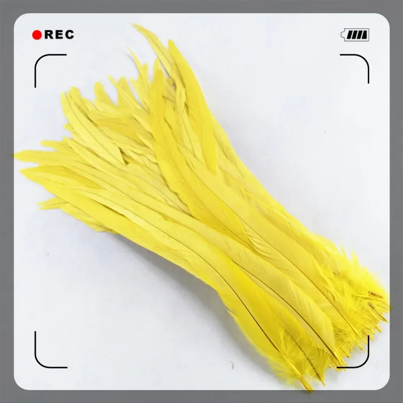 50 Stück farbige Hahnenfeder, 35–40 cm (14–16 Zoll), Hahnenfedern für Bastelarbeiten, Hochzeitsdekoration, Kleidungszubehör, DIY – Detail 4
